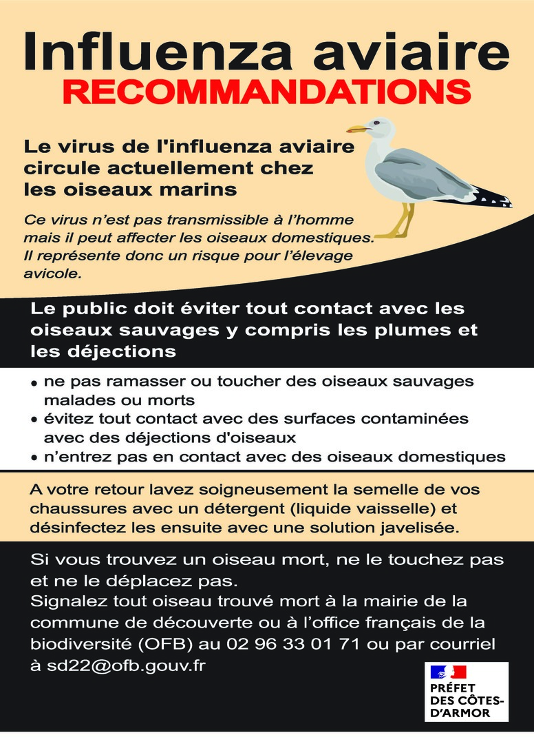 flyer-grippe-aviaire.jpg