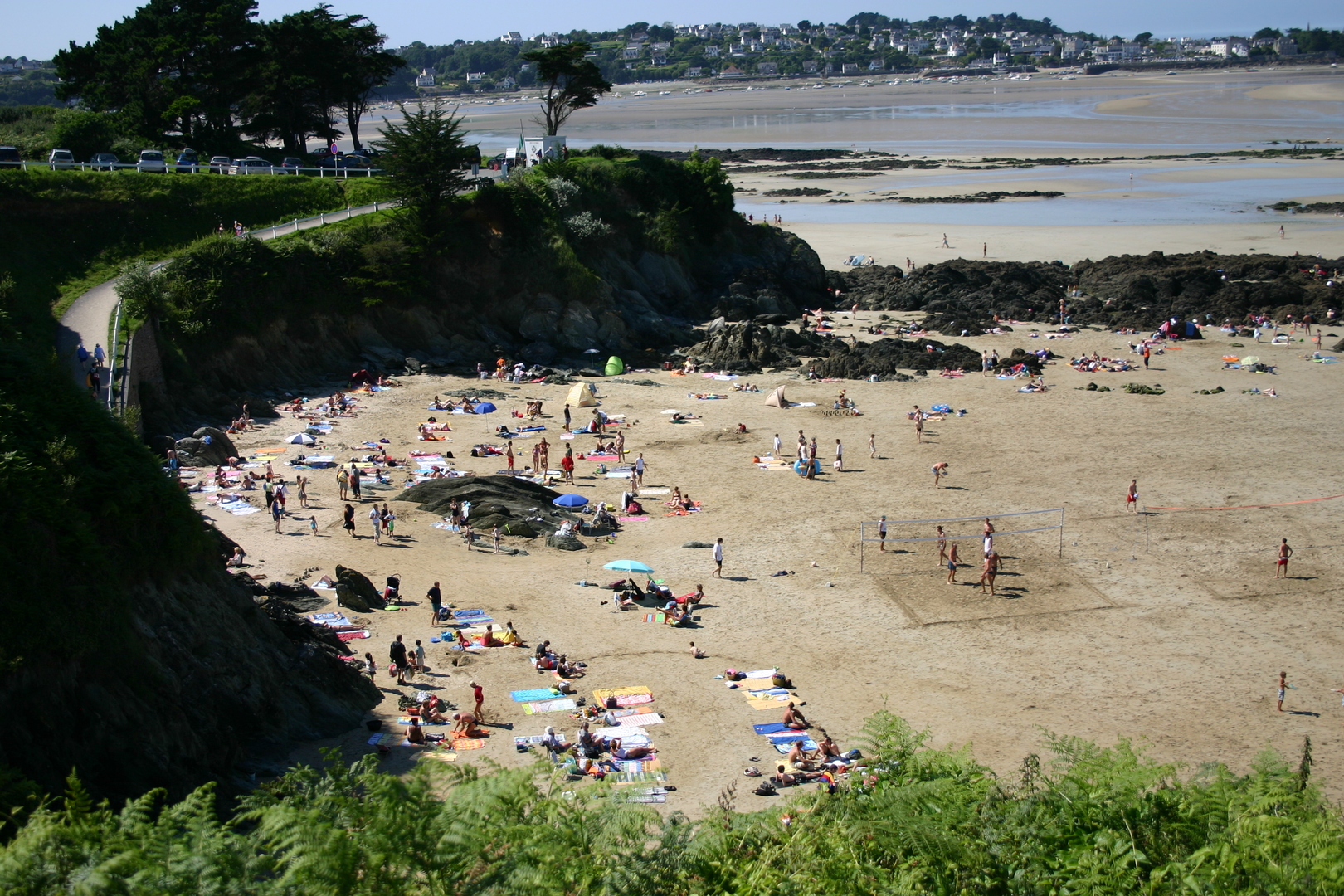 Règlement des plages (chiens et chevaux)