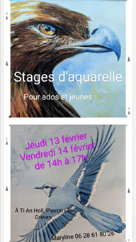 Stages d'aquarelle pour ados et jeunes adultes